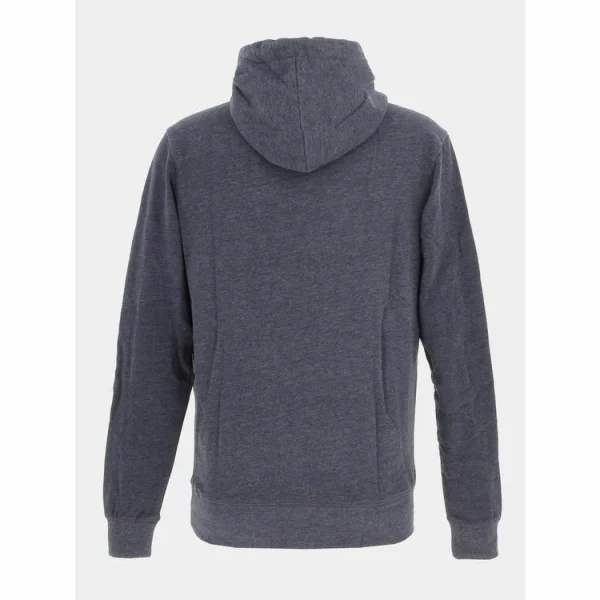 Coupon ✨ Petrol Industries Sweat Petrol Industries Men Sweater Hooded Print Bleu 7-112 👍 soldes en ligne 3